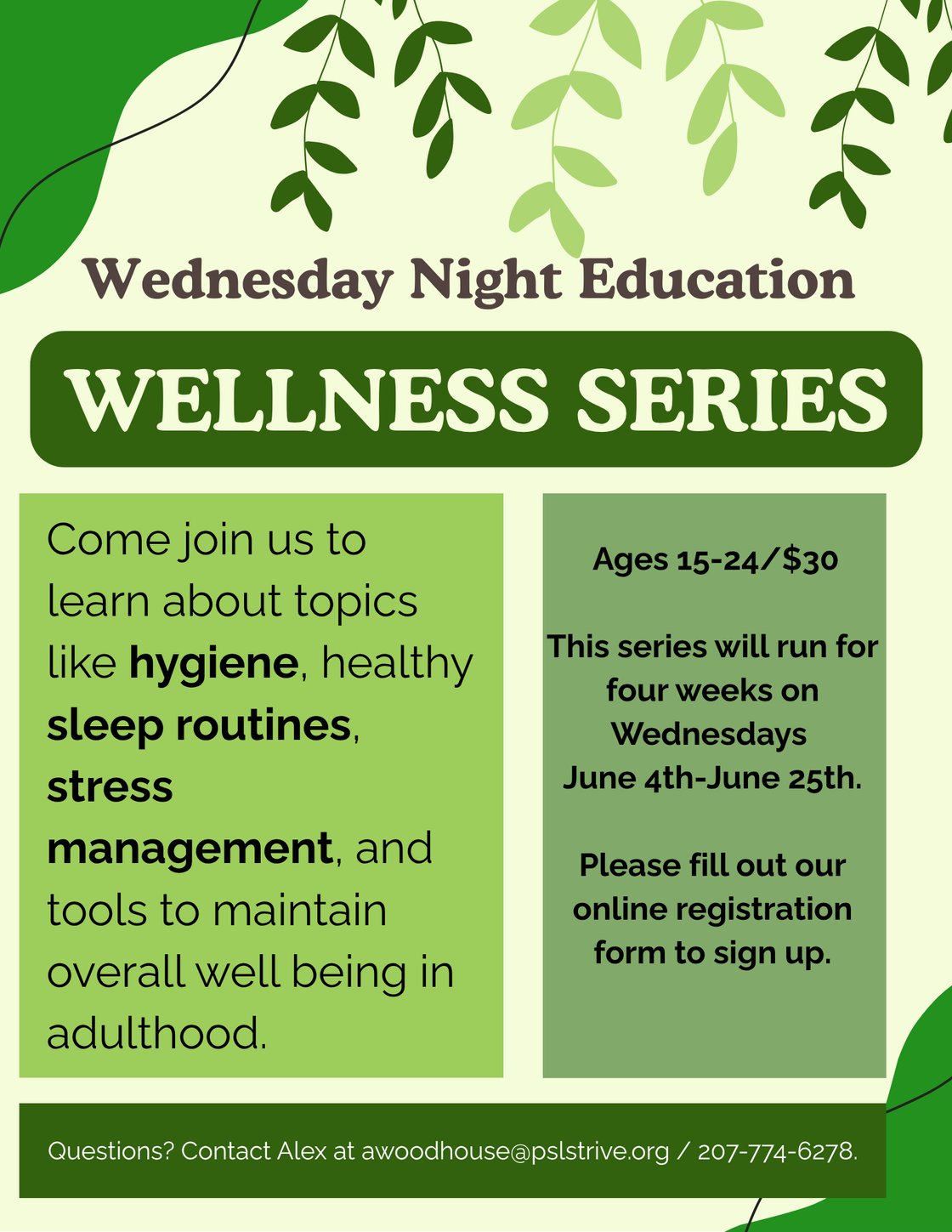 Wellness WNES flyer